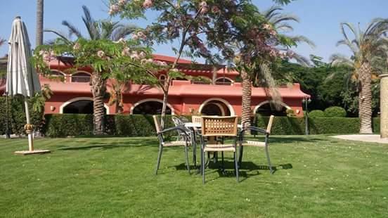 Sakkara Country Club Hotel El Hawamdeya Zewnętrze zdjęcie