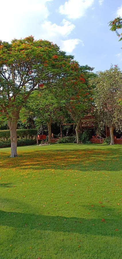 Sakkara Country Club Hotel El Hawamdeya Zewnętrze zdjęcie